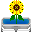 Sunflower-harvestB.png